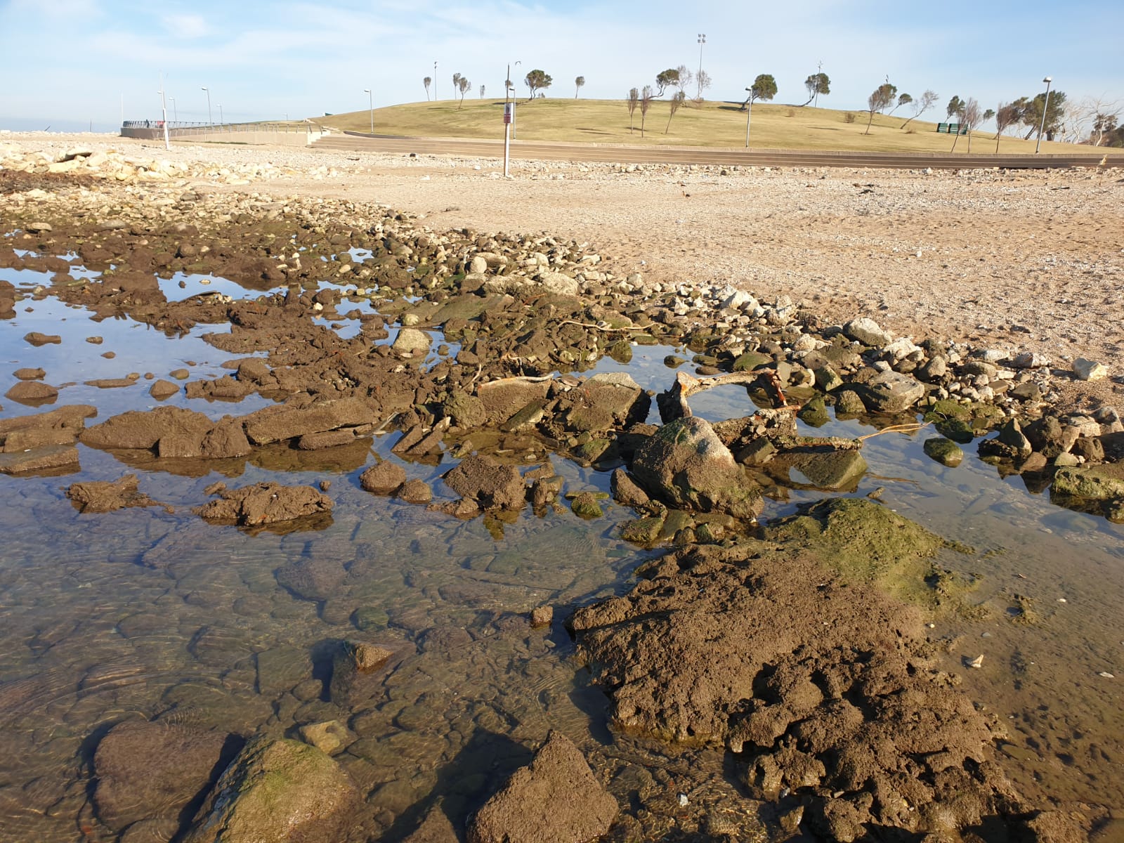 WhatsApp Image 2020-01-27 at 9.05.18 AM (1).jpeg.jpeg